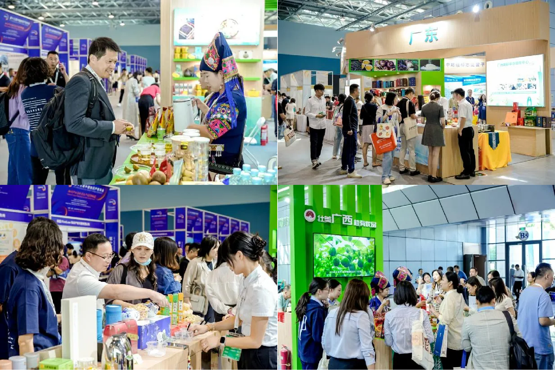 知识产权为新质生产力蓄势赋能第十三届中国知识产权年会精彩汇聚北京(图6)