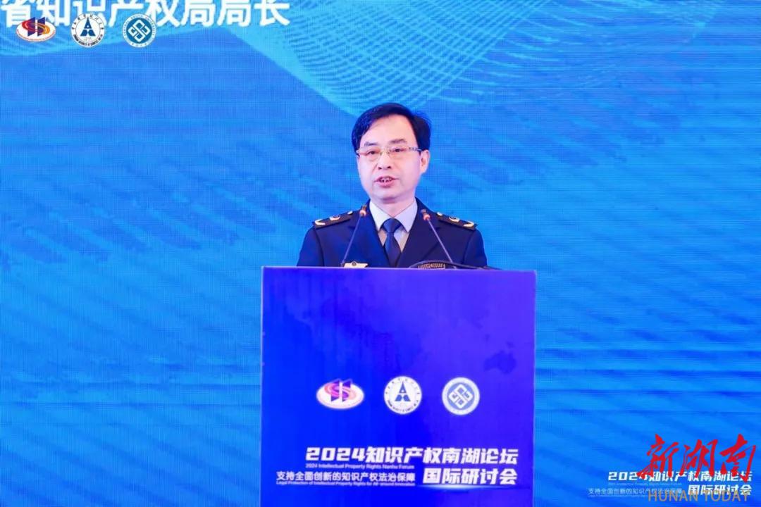 中南大学联合举办2024年知识产权南湖论坛国际研讨会(图4)