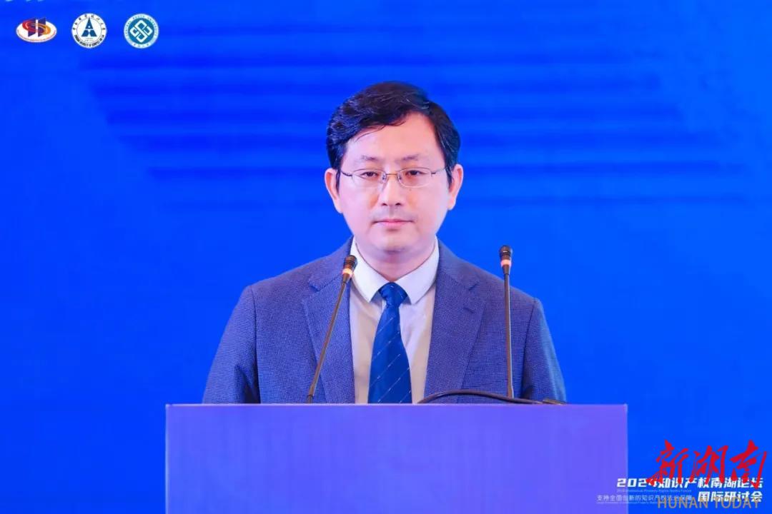 中南大学联合举办2024年知识产权南湖论坛国际研讨会(图5)