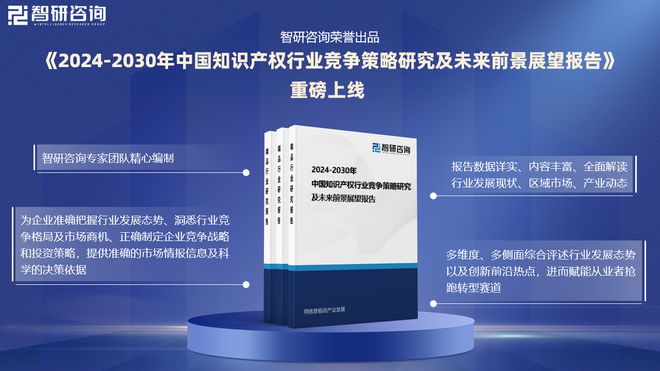 2024版中国知识产权行业市场规模及投资策略研究报告（智研咨询）