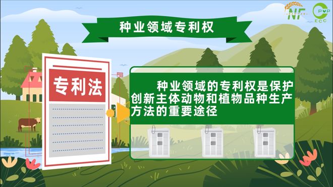 育种方法被盗如何捍卫专利权 维权日记②