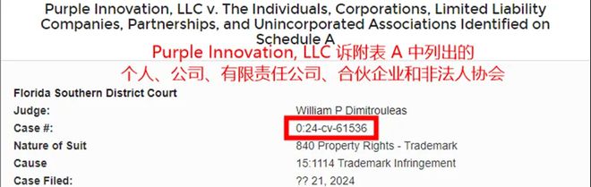大批中国卖家遭TRO？跨境大卖起诉侵权10万条链接被波及｜镖计划(图2)