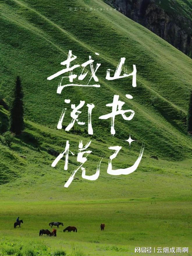 如何选择专业的第三方维权控价公