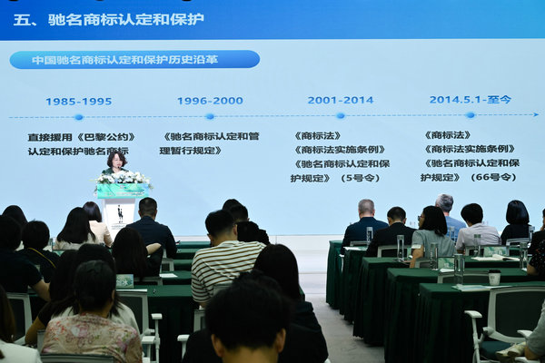 聚焦时尚商标品牌保护共筑行业发展基石——2024中国时尚知识产权大会成功举办！(图6)