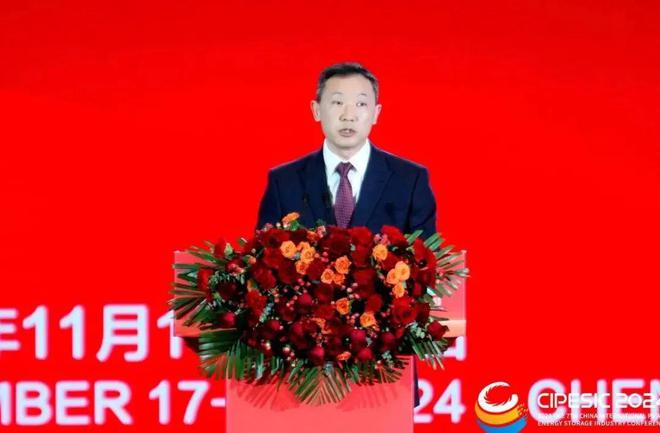 光储新时代 双碳新征程丨2024第七届中国国际光伏与储能产业大会隆重举行(图7)