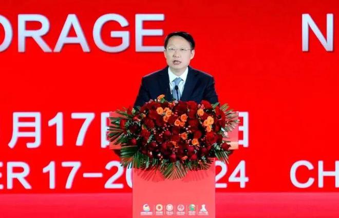 光储新时代 双碳新征程丨2024第七届中国国际光伏与储能产业大会隆重举行(图9)