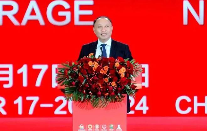 光储新时代 双碳新征程丨2024第七届中国国际光伏与储能产业大会隆重举行(图11)