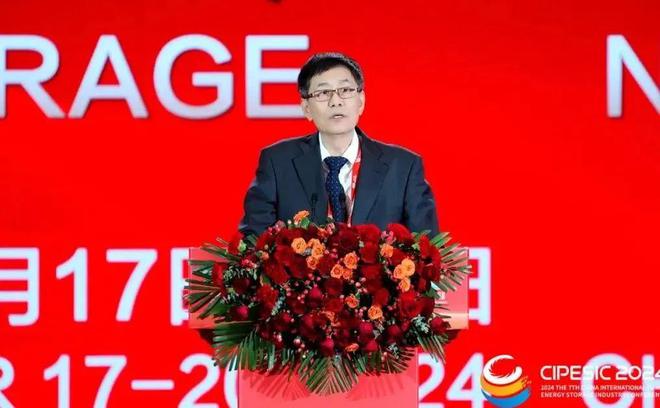 光储新时代 双碳新征程丨2024第七届中国国际光伏与储能产业大会隆重举行(图16)
