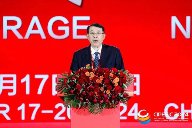 光储新时代 双碳新征程丨2024第七届中国国际光伏与储能产业大会隆重举行(图14)