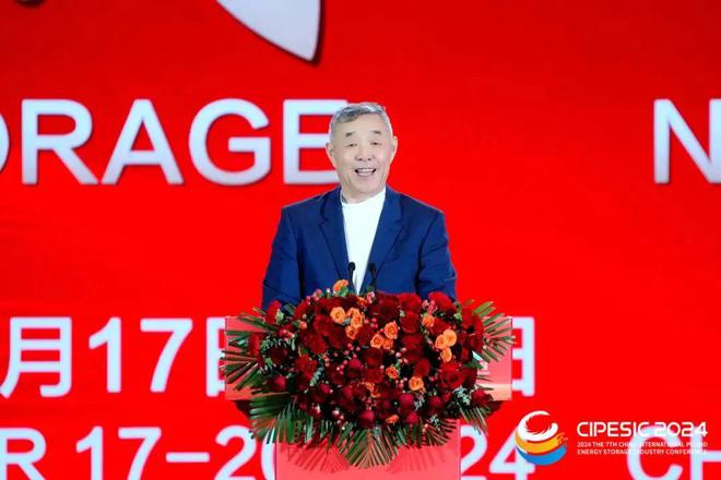 光储新时代 双碳新征程丨2024第七届中国国际光伏与储能产业大会隆重举行(图19)