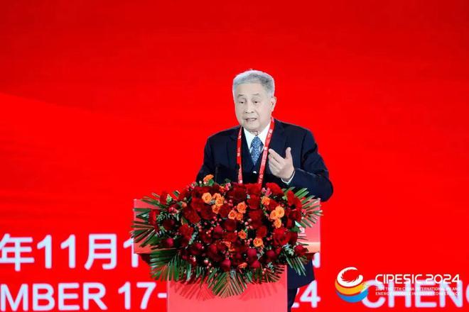 光储新时代 双碳新征程丨2024第七届中国国际光伏与储能产业大会隆重举行(图22)