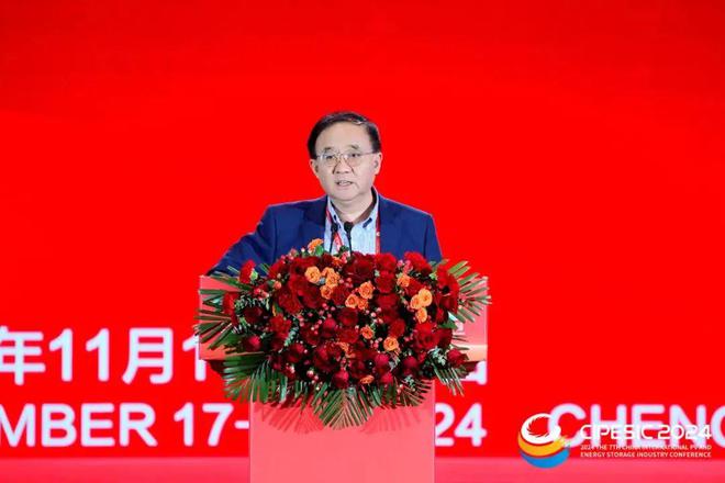 光储新时代 双碳新征程丨2024第七届中国国际光伏与储能产业大会隆重举行(图23)
