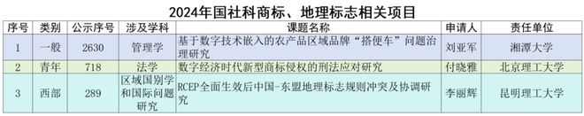 焦和平 梁龙坤：2024年国家社科基金知识产权项目数据分析报告(图13)