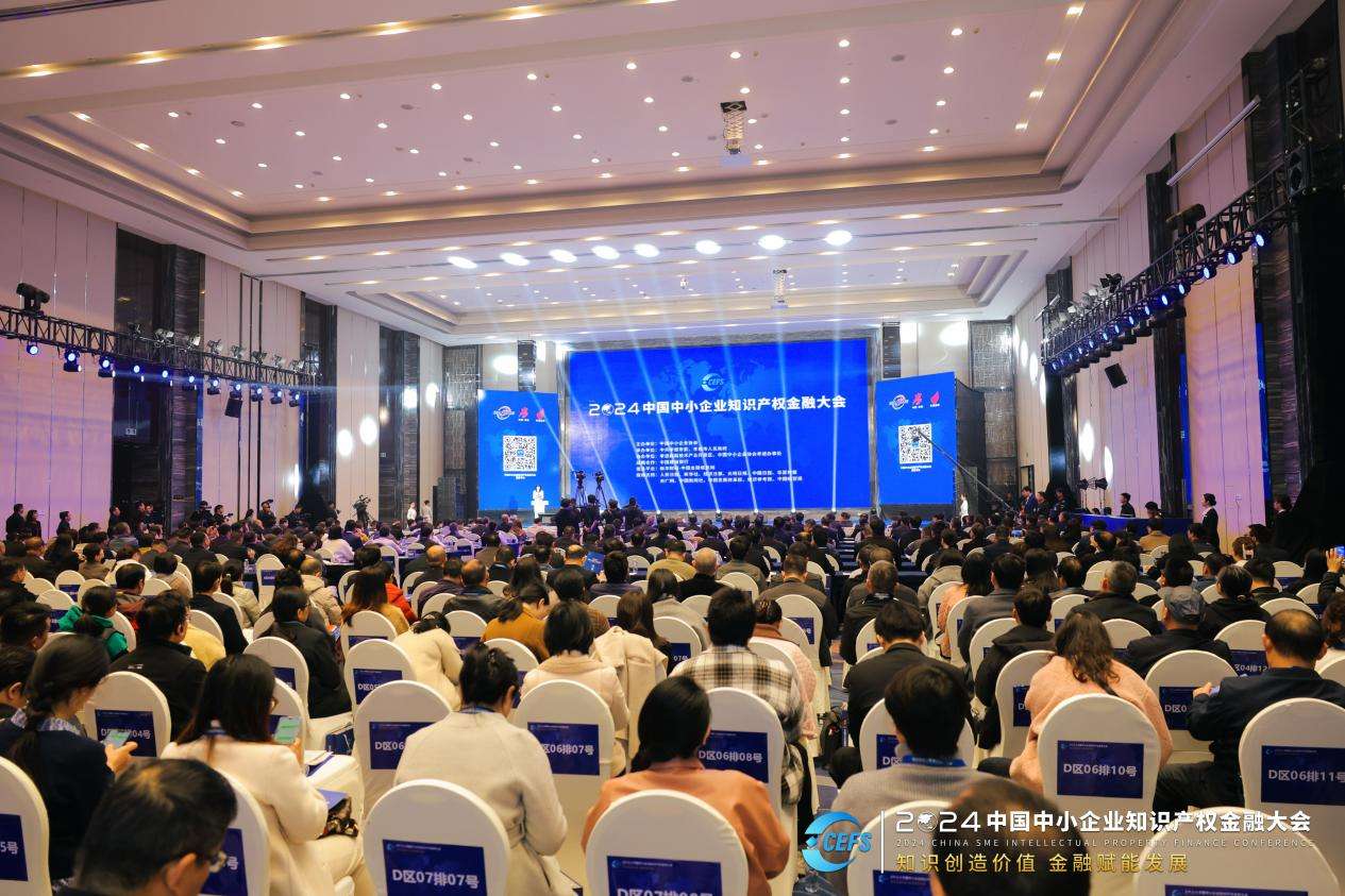 2024中国中小企业知识产权金