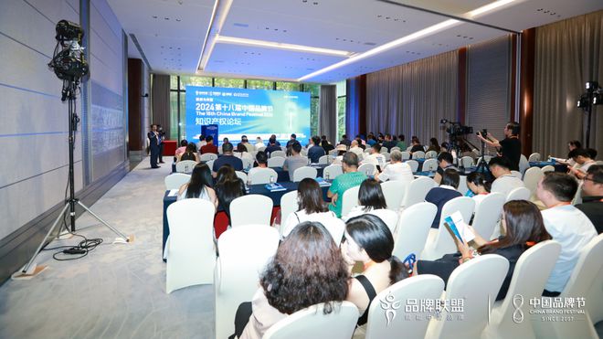 平行论坛｜2024中国品牌节 · 知识产权论坛成功举办(图2)