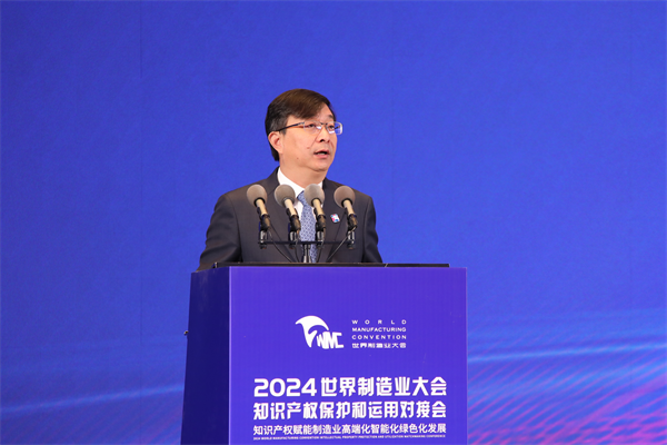 2024世界制造业大会知识产权保护和运用对接会在合肥举行(图4)