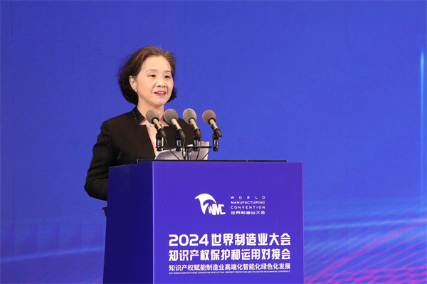 2024世界制造业大会知识产权保护和运用对接会在合肥举行(图5)