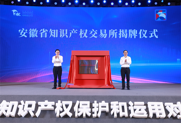 2024世界制造业大会知识产权保护和运用对接会在合肥举行(图6)