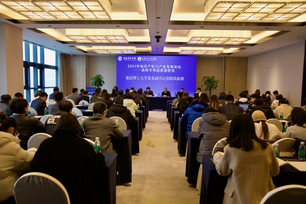 2024年知识产权与产业发展论