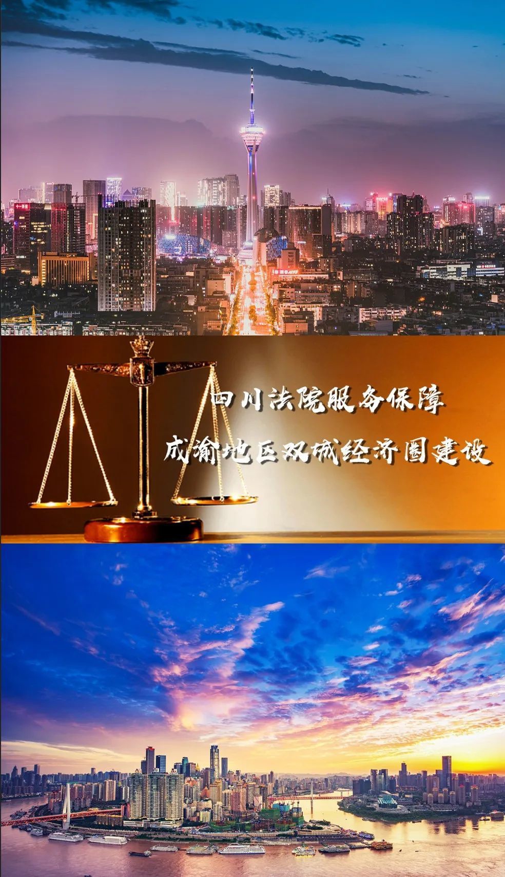 沙市区公布2024年知识产权典