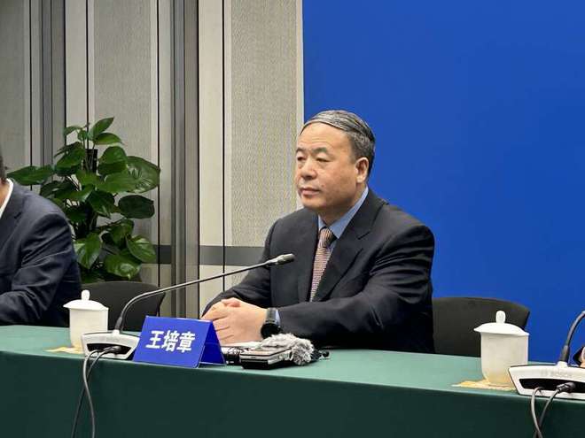 我国国家级知识产权信息公共服务
