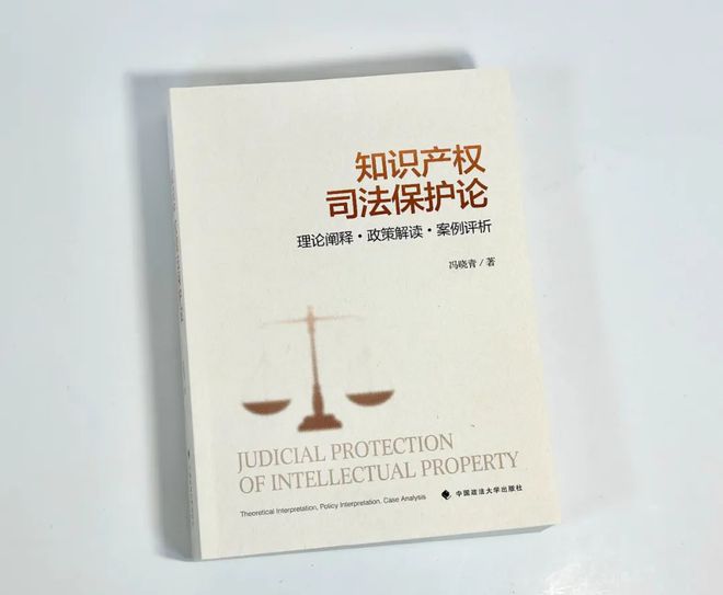 重磅推荐《知识产权司法保护论：