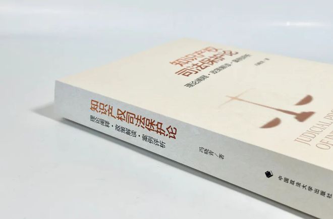 重磅推荐《知识产权司法保护论：理论阐释·政策解读·案例评析》冯晓青 著(图2)