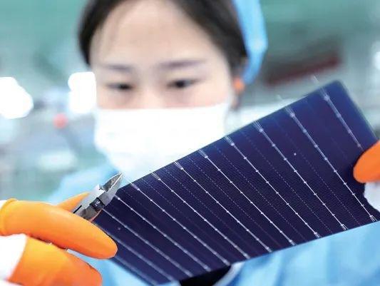 知识产权十大关键词｜回望2024(图9)