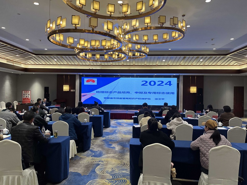 2024年知识产权行业新机遇：