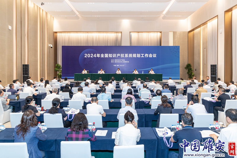 2024年全国知识产权系统规划