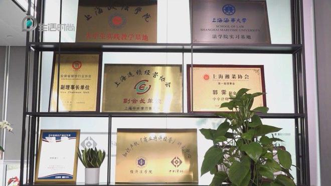 上海电视台报道—上海中申律师事务所荣登2024商标代理600强榜单(图7)