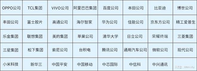 2024年度中国有效发明专利权利人排行榜（TOP100）(图5)