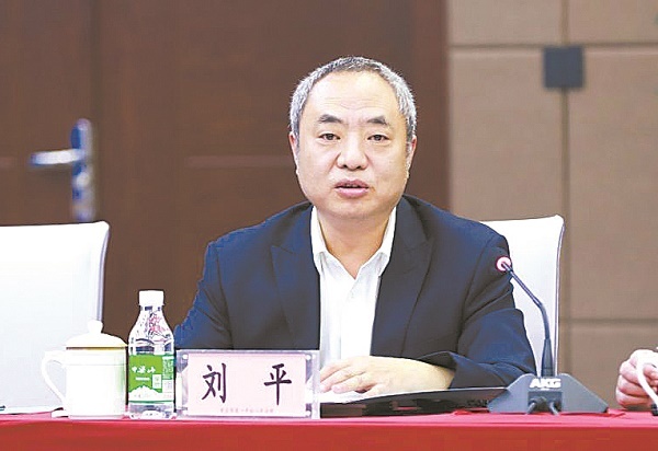 全国人大代表刘平高效司法保护为知识产权穿上“铠甲”