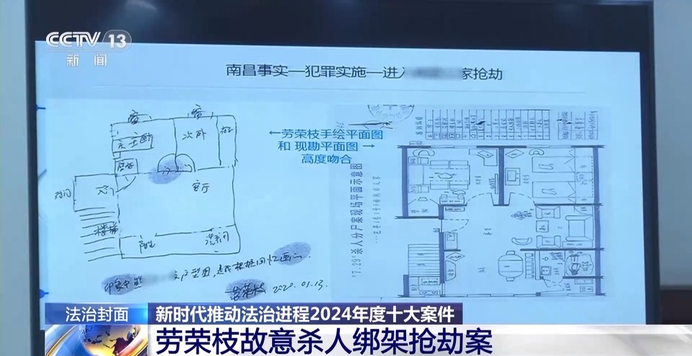 法治在线丨从物种入侵到知识产权保护 十大标杆案件解码司法裁判规则(图3)