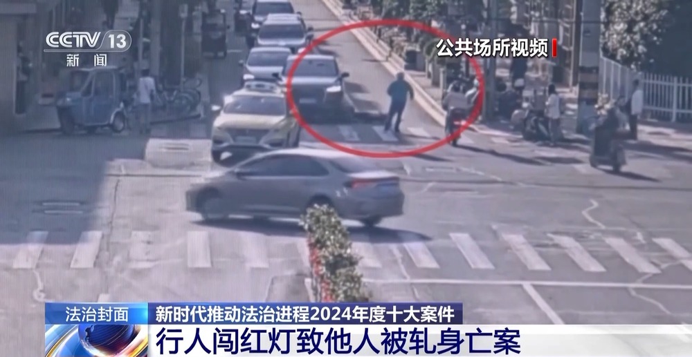 法治在线丨从物种入侵到知识产权保护 十大标杆案件解码司法裁判规则(图14)