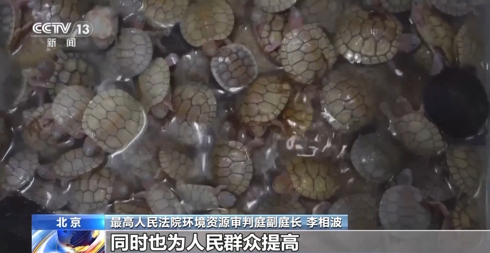 法治在线丨从物种入侵到知识产权保护 十大标杆案件解码司法裁判规则(图25)