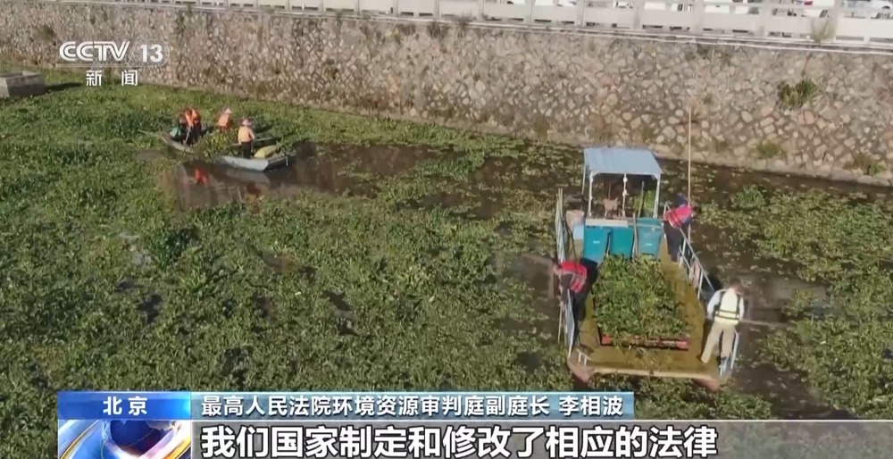法治在线丨从物种入侵到知识产权保护 十大标杆案件解码司法裁判规则(图27)
