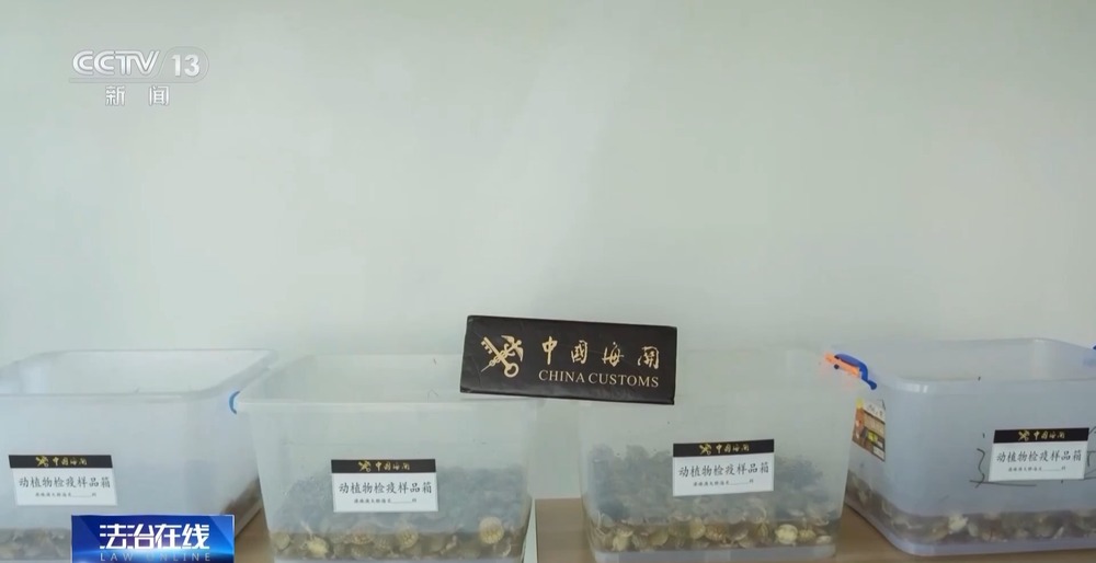 法治在线丨从物种入侵到知识产权保护 十大标杆案件解码司法裁判规则(图24)