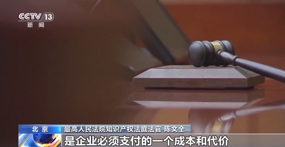 法治在线丨从物种入侵到知识产权保护 十大标杆案件解码司法裁判规则(图37)