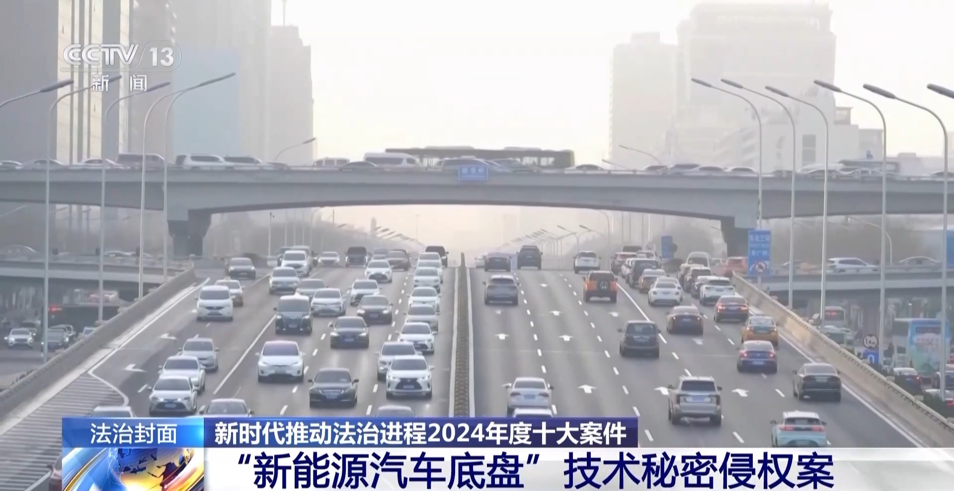 法治在线丨从物种入侵到知识产权保护 十大标杆案件解码司法裁判规则(图36)
