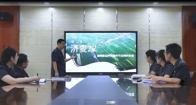回眸2024丨聚焦知识产权司法保护 助推发展新质生产力(图3)