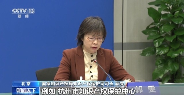 国家知识产权局：完善知识产权保护体系 为民企创新护航(图2)