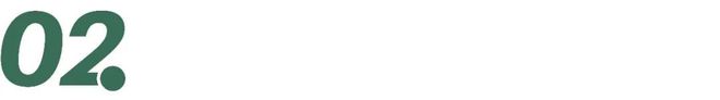 TOPBRAND 蛋白公司Oo
