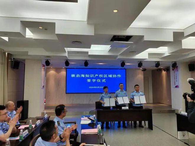 2024年上海市优化知识产权营商环境优秀案例公布崇明有一例入选(图3)