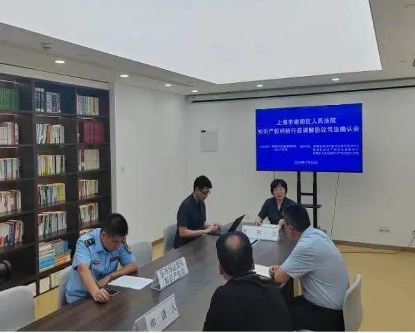 2024年上海市优化知识产权营商环境优秀案例公布崇明有一例入选(图4)