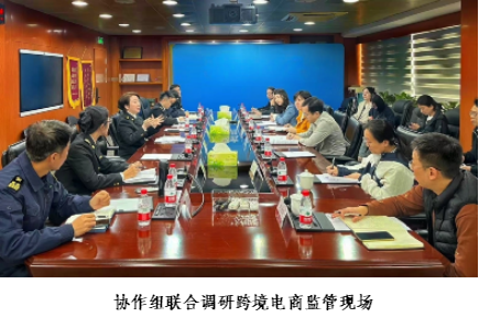2024年中国海关知识产权保护状况(图7)