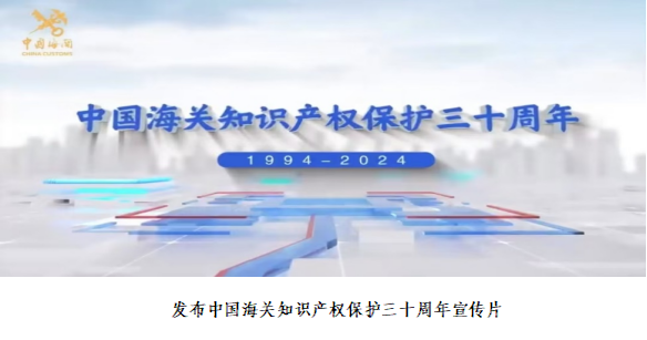 2024年中国海关知识产权保护状况(图10)