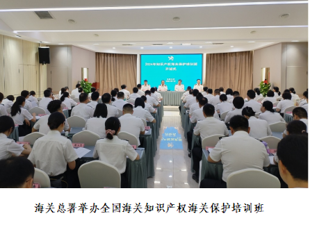 2024年中国海关知识产权保护状况(图11)