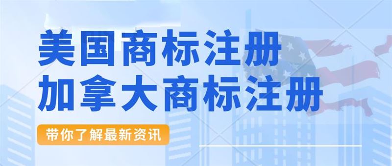 美国专利官费深度解析：类型差异、政策逻辑与策略优化
