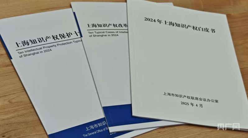 2024年上海知识产权保护十大典型案例公布 全国涉案标的最大的侵犯著作权罪案件在列